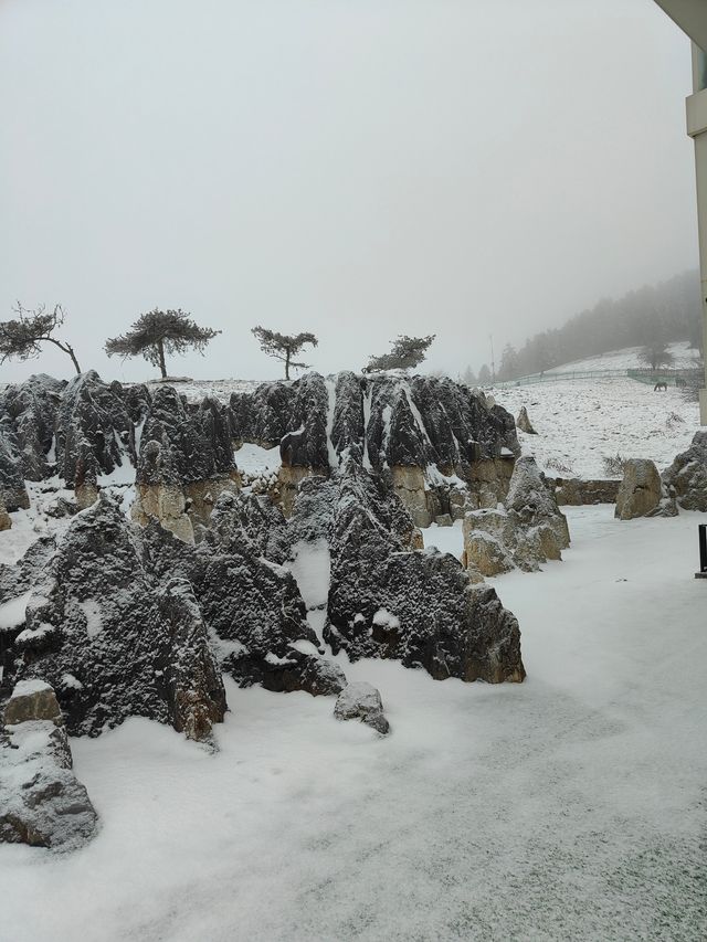 乘坐綠皮火車前往仙女山賞雪