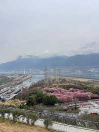 城市漫步探索記：漫步武漢 暢遊長江三峽
