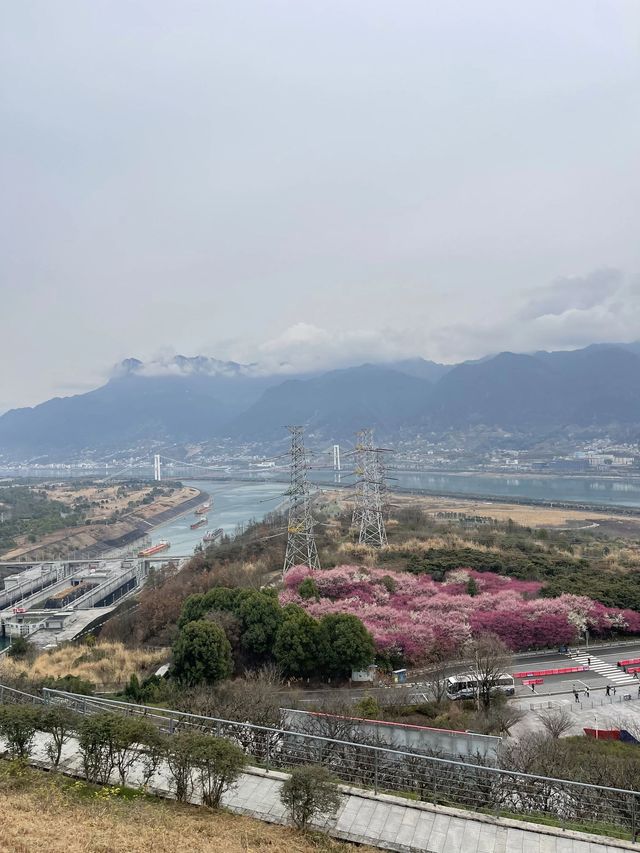 城市漫步探索記：漫步武漢 暢遊長江三峽