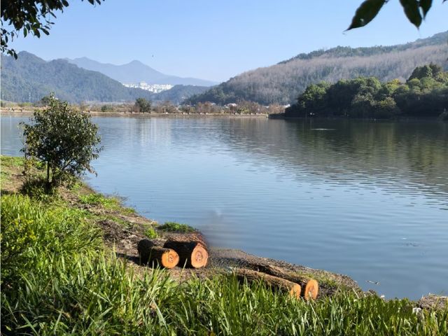 和順古鎮野鴨湖