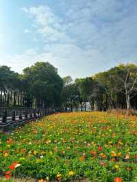 地鐵直達｜佛山賞花一日遊攻略