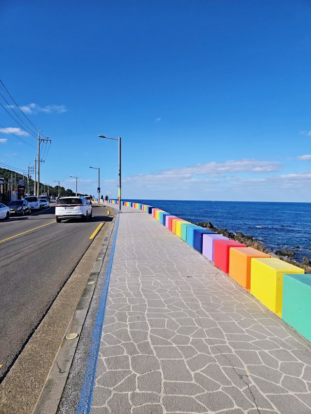 冬季反正是旅行｜濟州島西線一日遊攻略