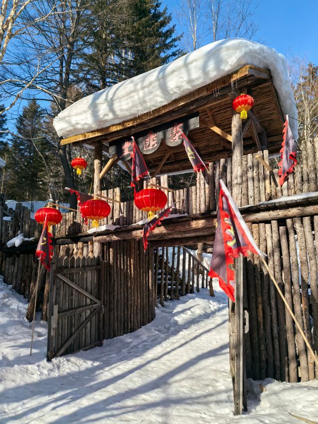 鏡頭下的大雪谷，雪蘑菇與霧凇的幻境交響