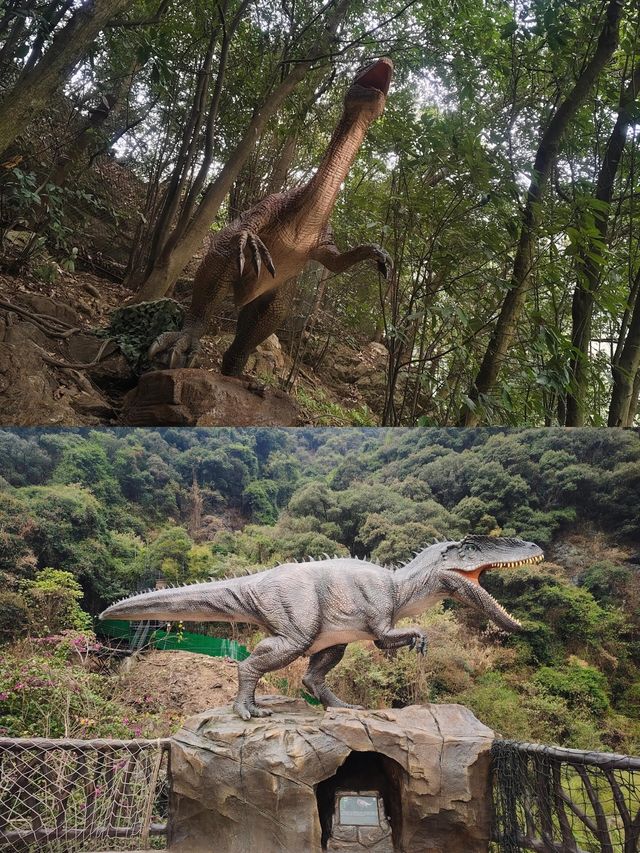 清遠古龍峽，廣東漂流天花板！