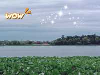 Exploring Majestic Shijiazhuang: Travel Itinerary