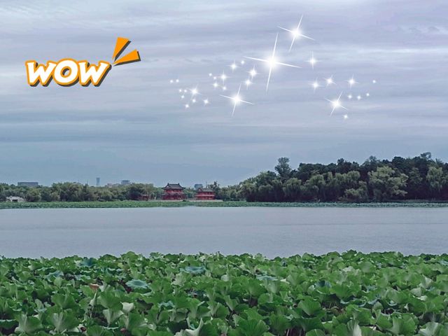 Exploring Majestic Shijiazhuang: Travel Itinerary