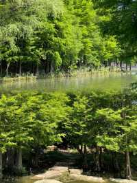 阜陽濕地生態園︱邂逅自然野趣全攻略