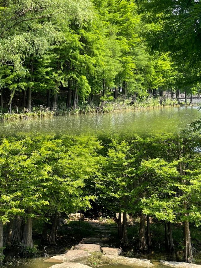 阜陽濕地生態園︱邂逅自然野趣全攻略