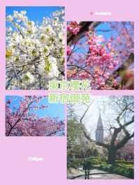 東京櫻花｜新宿御苑：花期長的賞櫻名所