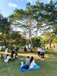 深圳最適合帶小朋友捉魚釣魚的公園