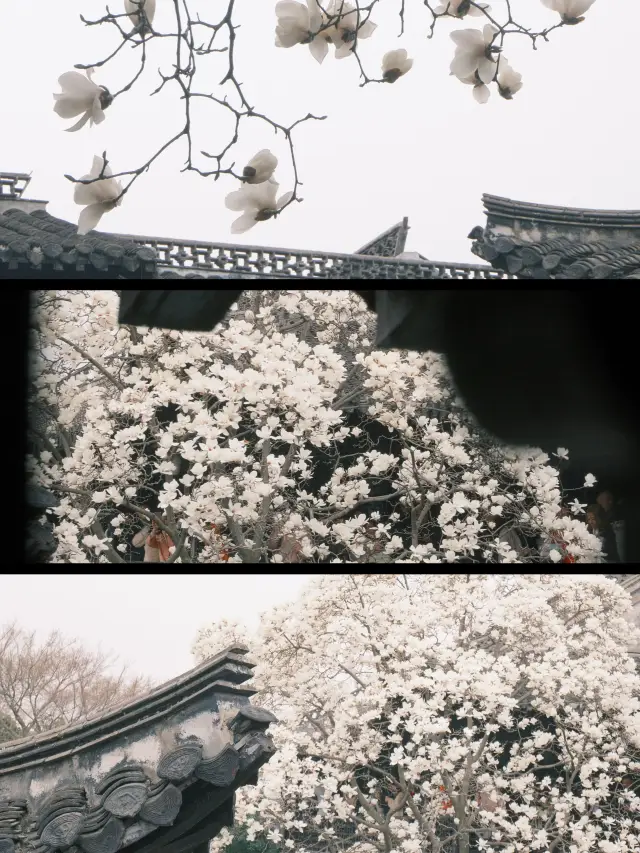 A Guide to He Garden, the Finest Garden of the Late Qing Dynasty