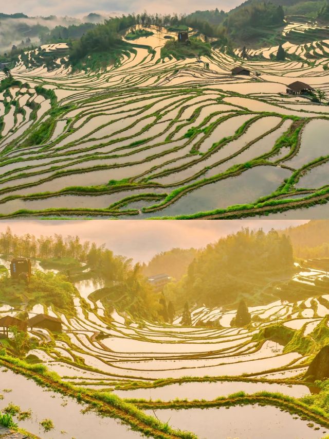 雲和梯田，隱藏在山間的夢幻田園