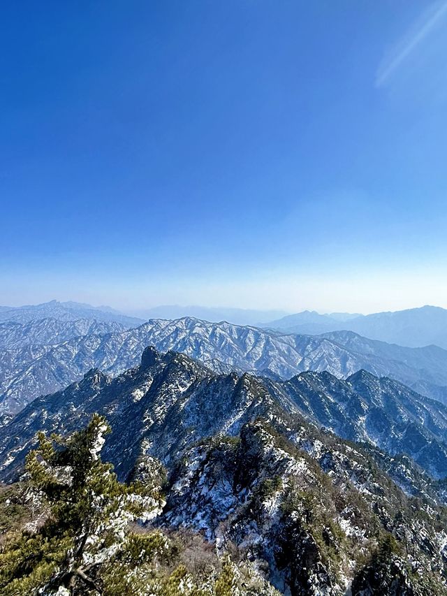 洛陽等地老年遊超詳細攻略爸媽出遊必備