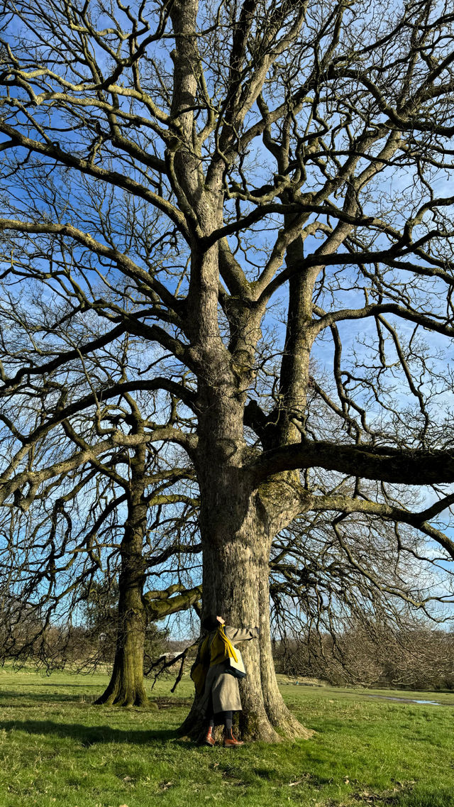 英國旅遊｜自然是藝術品 Yorkshire雕塑公園