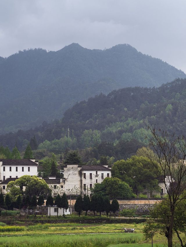 定了清明反向旅遊之黃山小眾旅行地