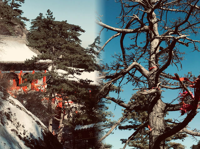 華山攻略｜爬華山前必看
