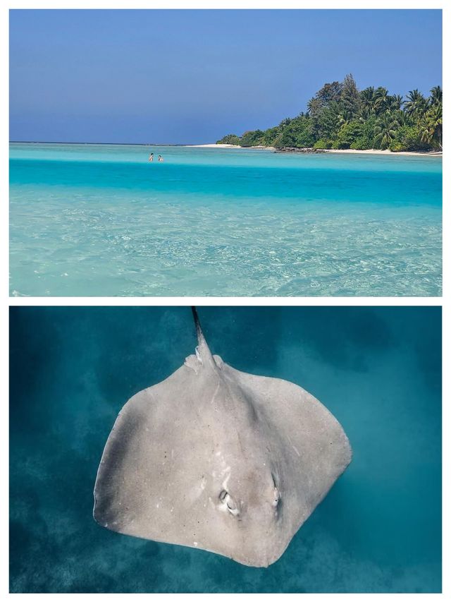圖杜島：馬爾代夫遺世獨立的海島秘境