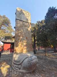 濟南-泰安-濟寧3日遊 玩轉山東不踩坑必收藏