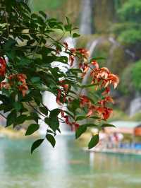 崇左-百色-河池3日遊 玩轉廣西小眾秘境