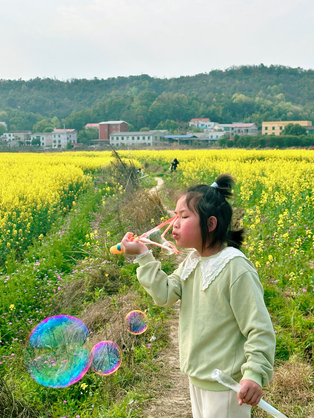 長沙市區出發20分鐘就可以抵達的油菜花海～