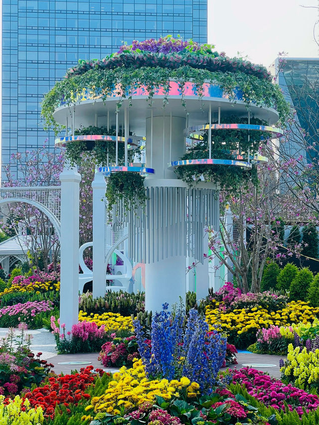 🌼深圳筆架山公園花海，美到失語！