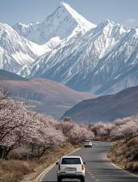 川藏線｜青藏線一次看盡藏地江南春