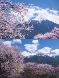 林芝旅遊 訂製遊才是正確打開方式