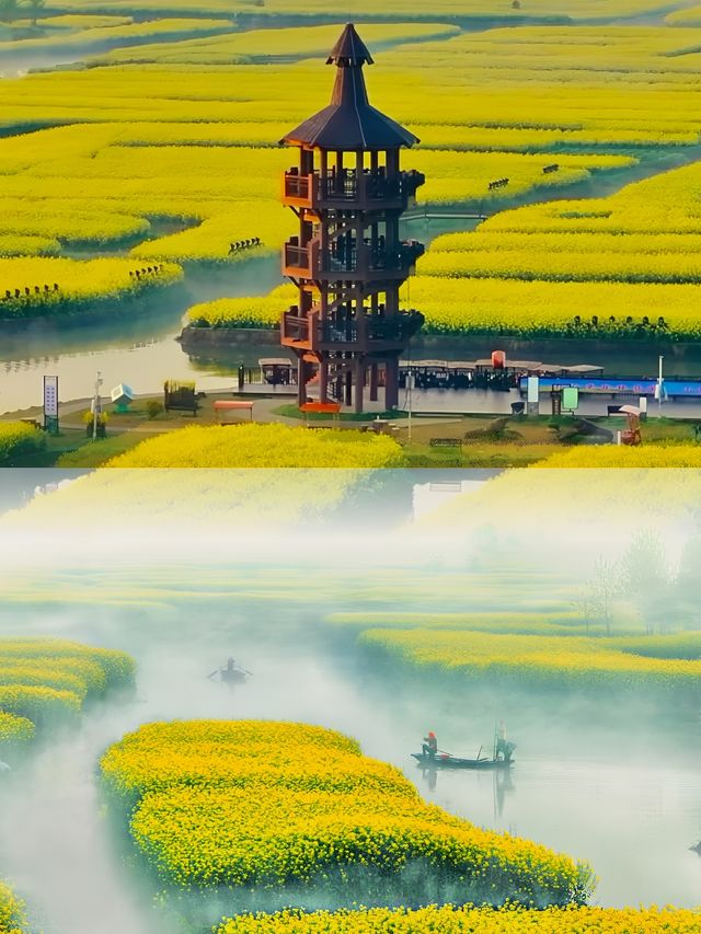 不是揚州去不起，而是興化性價比更高