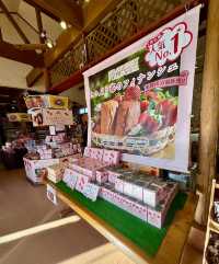 日本の魅力的なイチゴ狩り村