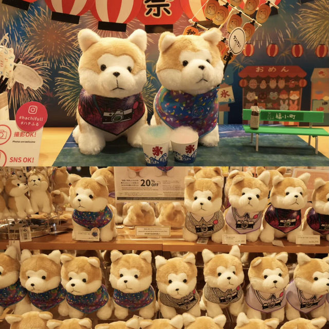🐕可愛暴擊‼東京·澀谷✅竟然這麼可愛
