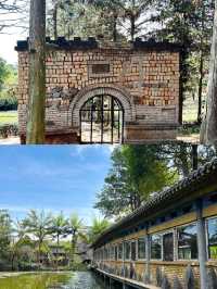 穿越千年的茶馬古道，探尋雲南的神秘之旅