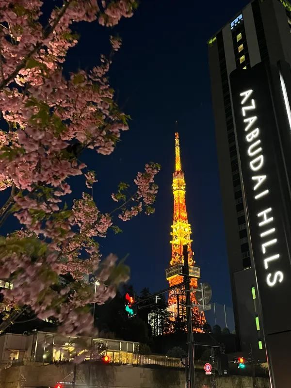 東京タワー🗼美しい早咲きの桜🌸