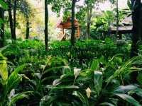 Guilin Botanical Garden: A Verdant Paradise