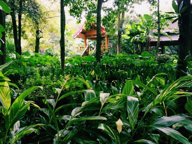 Guilin Botanical Garden: A Verdant Paradise