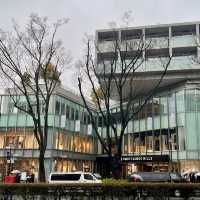 東京漫步｜表參道，時尚與建築的交響樂章🎶
