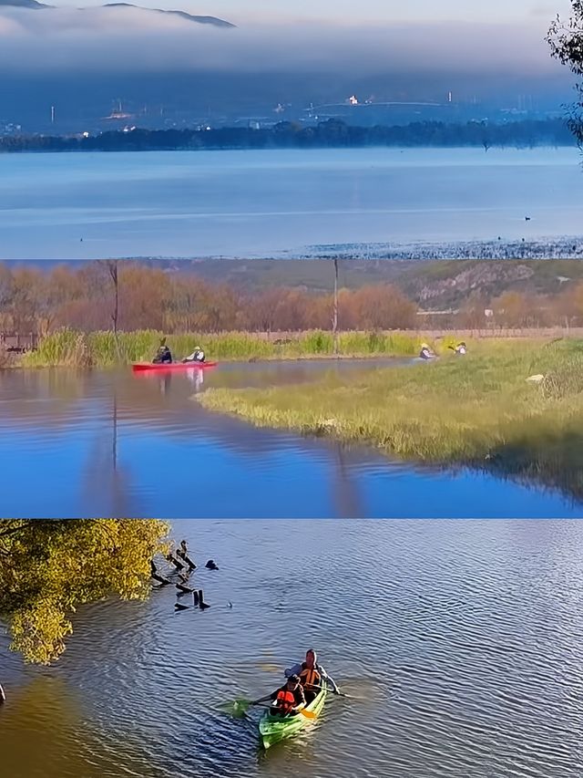 麗江拉市海：茶馬古道上的夢幻水鄉，暢享悠然時光