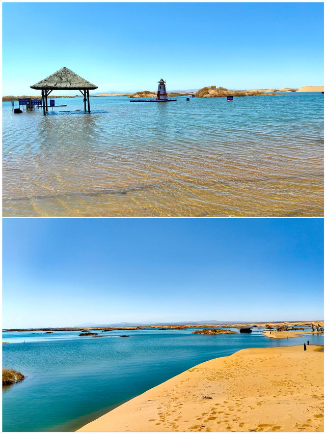 烏海受罪已回，說點難聽大實話