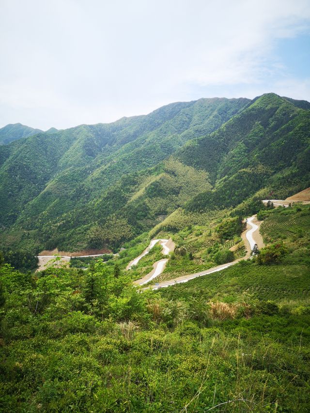 自駕白坪天路丨浙皖交界自駕遊