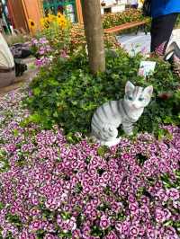 🌺香港維多利亞港花卉展2025：仿佛童話世界的美麗盛宴🌺