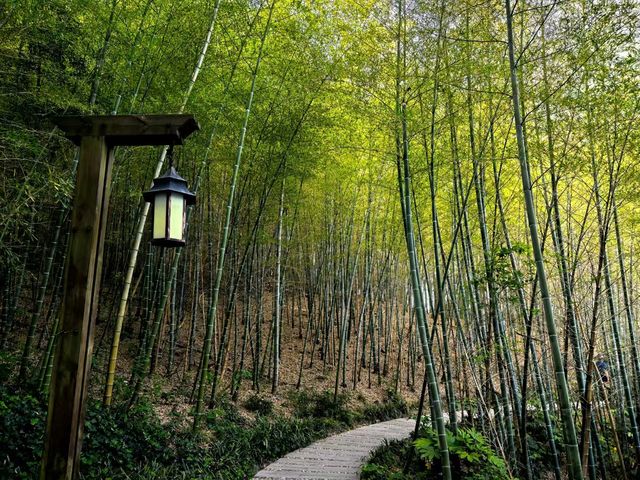 養眼養肺養心~~天目湖涵田度假村養心谷