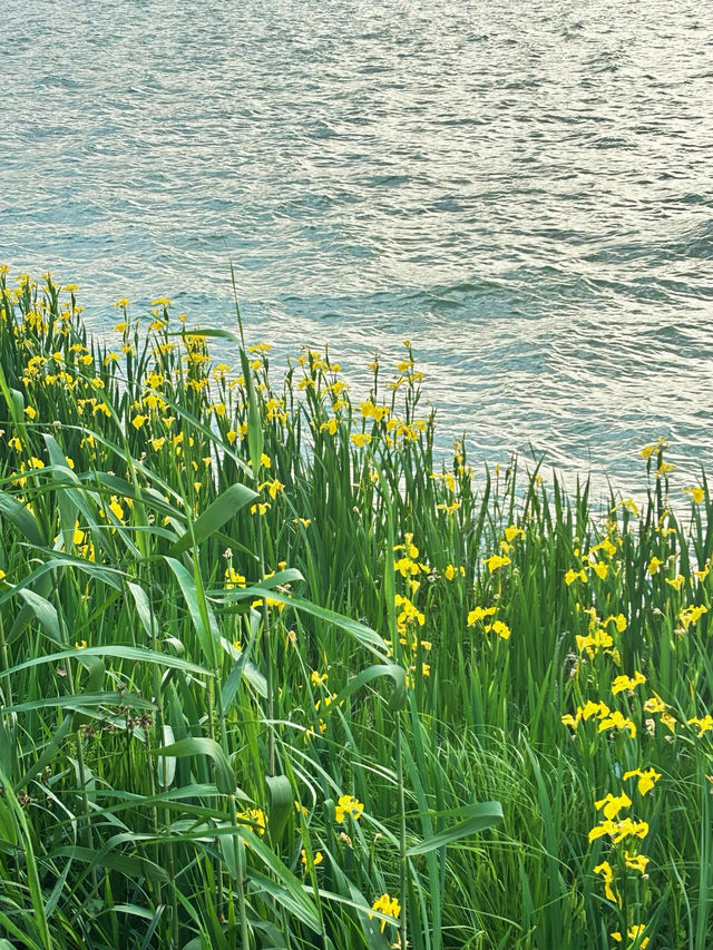 寧波東錢湖| 被低估嘅寶藏地
