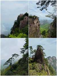 剛從黃山回來，後勁真嘅太大喇