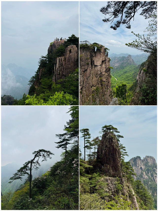剛從黃山回來，後勁真嘅太大喇