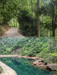 避暑秘境｜杭州小眾氧吧大奇山森林公園，徒步影相攻略