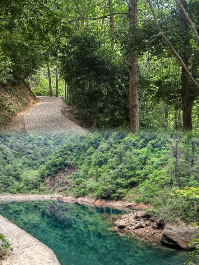 避暑秘境｜杭州小眾氧吧大奇山森林公園，徒步影相攻略