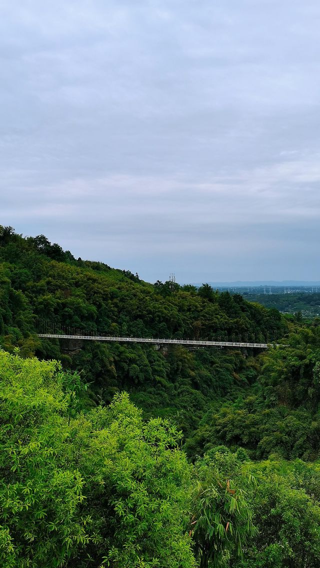 川西竹海|25℃綠意秘境清涼之旅全指南