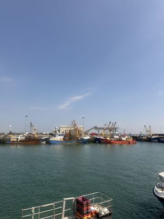 Saltee Island 조류 관찰 맞춤 전세 투어