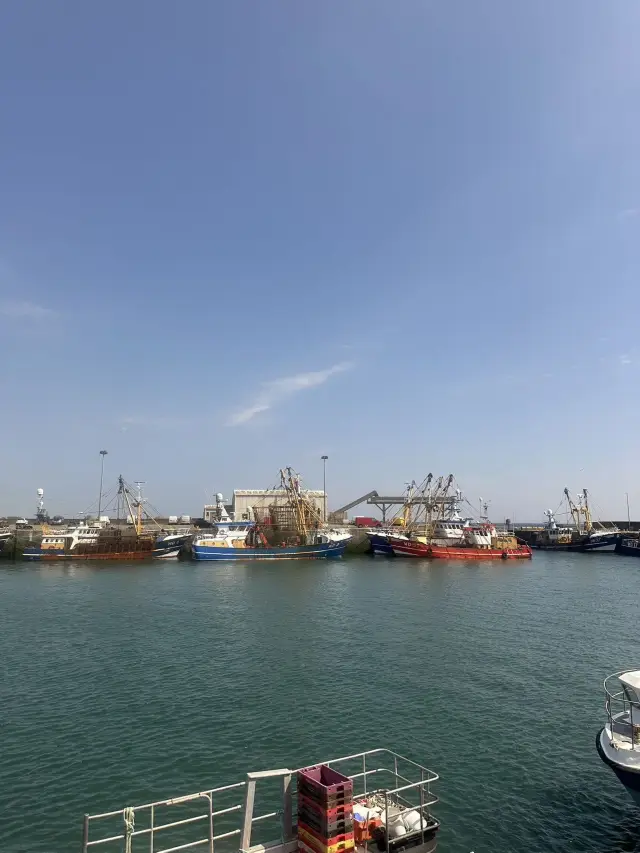 Custom Birdwatching Tour to Saltee Island