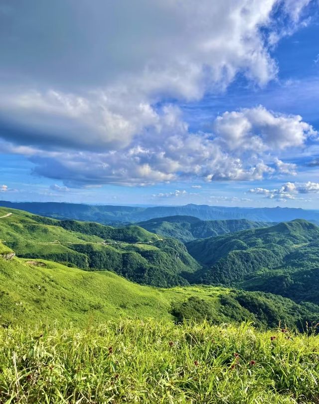 探索山野清新之旅