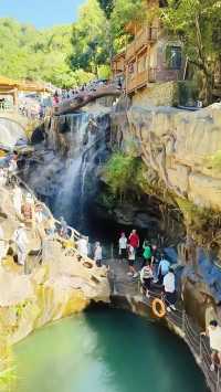 高山原始森林嘅呼吸，溪流喺腳下低吟